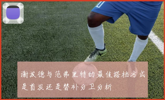 谢泼德与范弗里特的最佳搭档方式是首发还是替补分卫分析