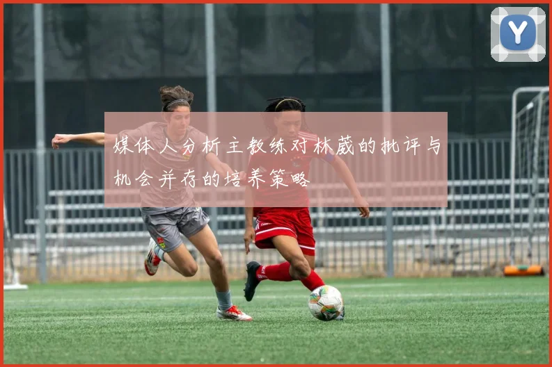 媒体人分析主教练对林葳的批评与机会并存的培养策略