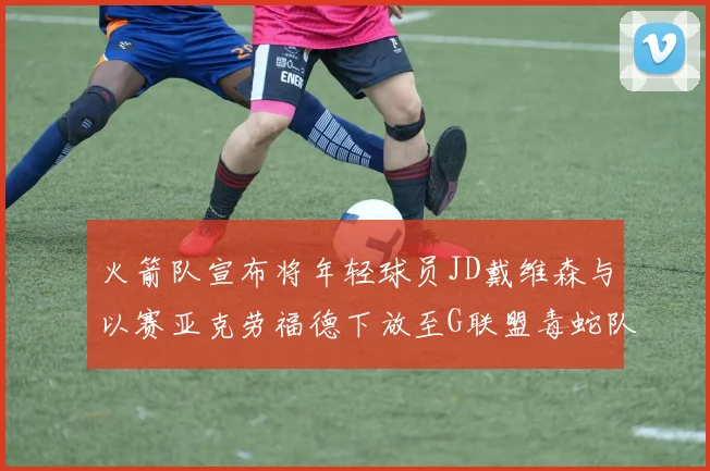 火箭队宣布将年轻球员JD戴维森与以赛亚克劳福德下放至G联盟毒蛇队进行锻炼